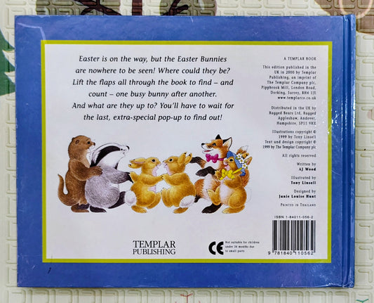 The Easter Bunnies | Pop up and Lift the Flap
