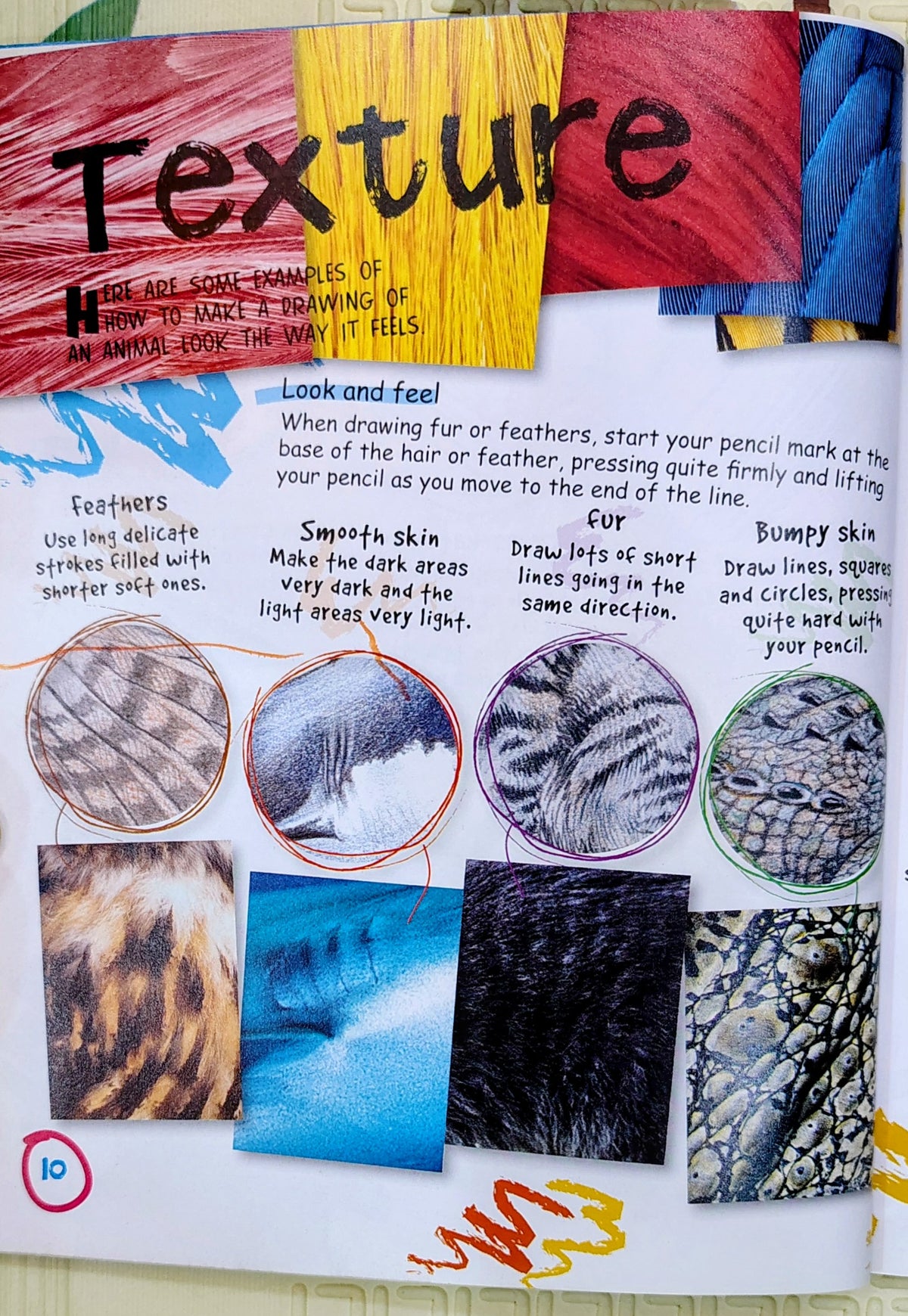 How to Draw Animals by Miles Kelly