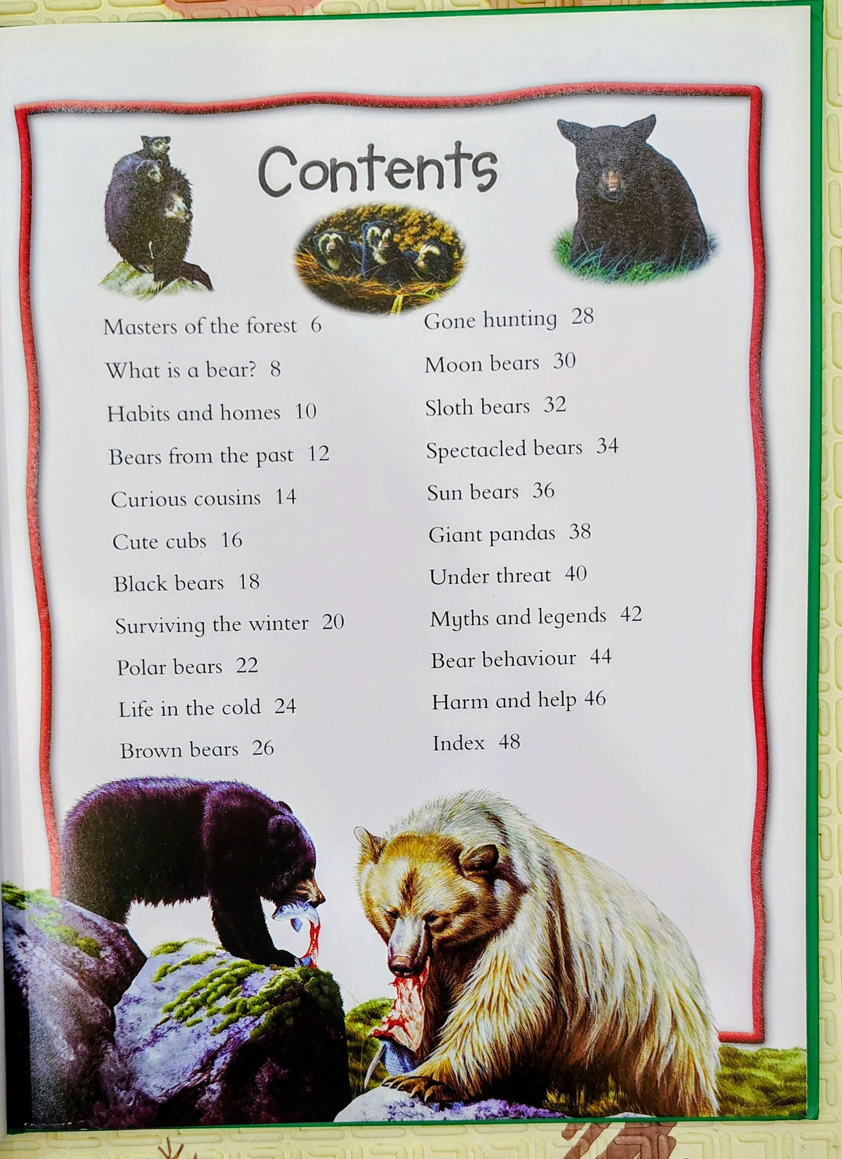100 Things You Should Know About Bears by Miles Kelly