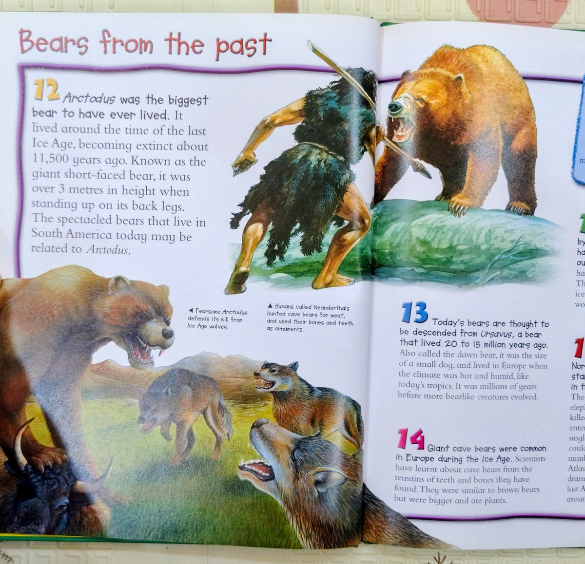 100 Things You Should Know About Bears by Miles Kelly