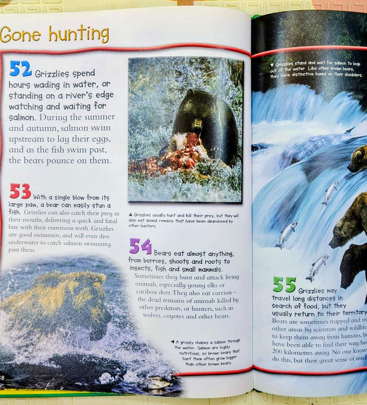 100 Things You Should Know About Bears by Miles Kelly