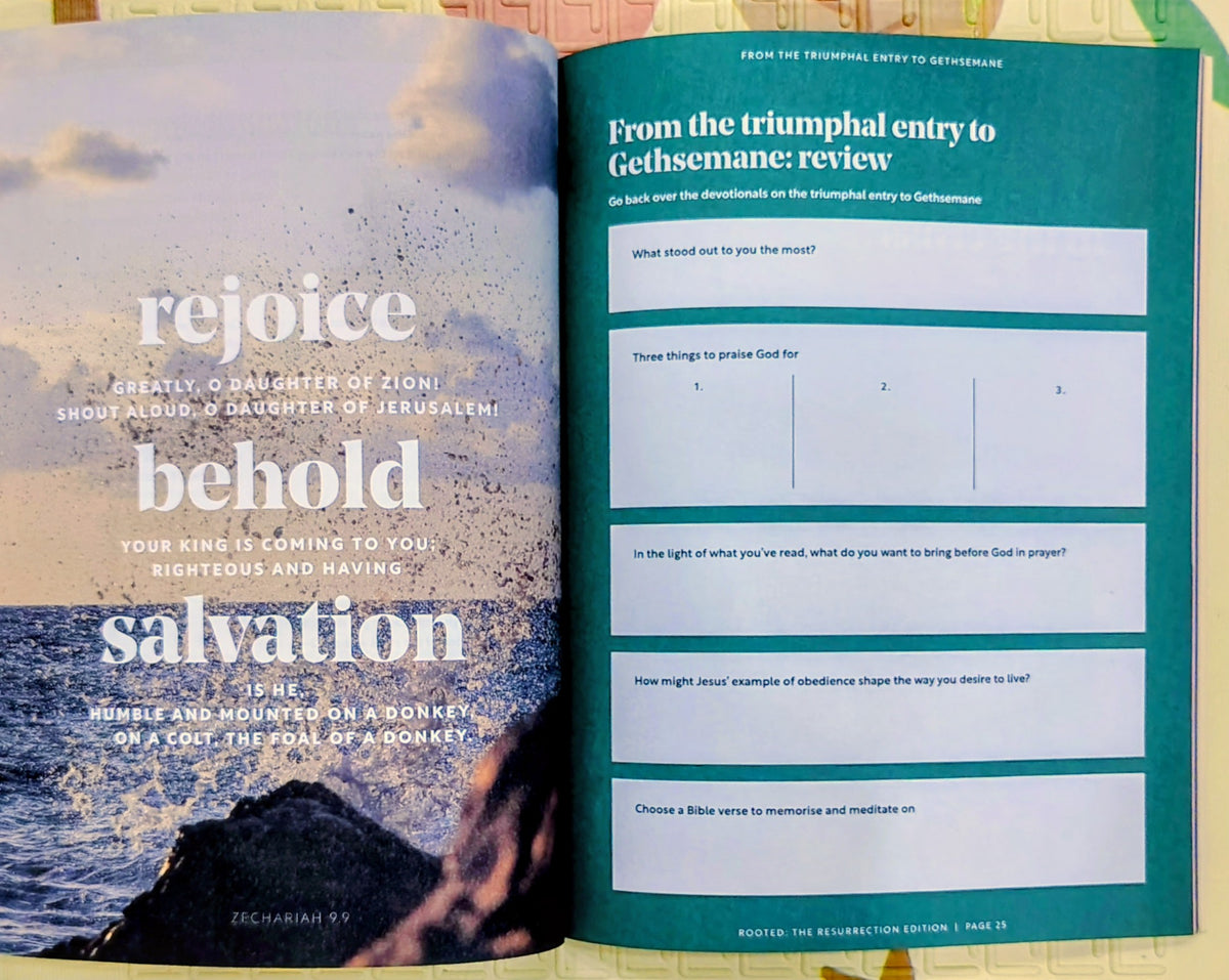 Rooted: The Resurrection Edition by Bible Society