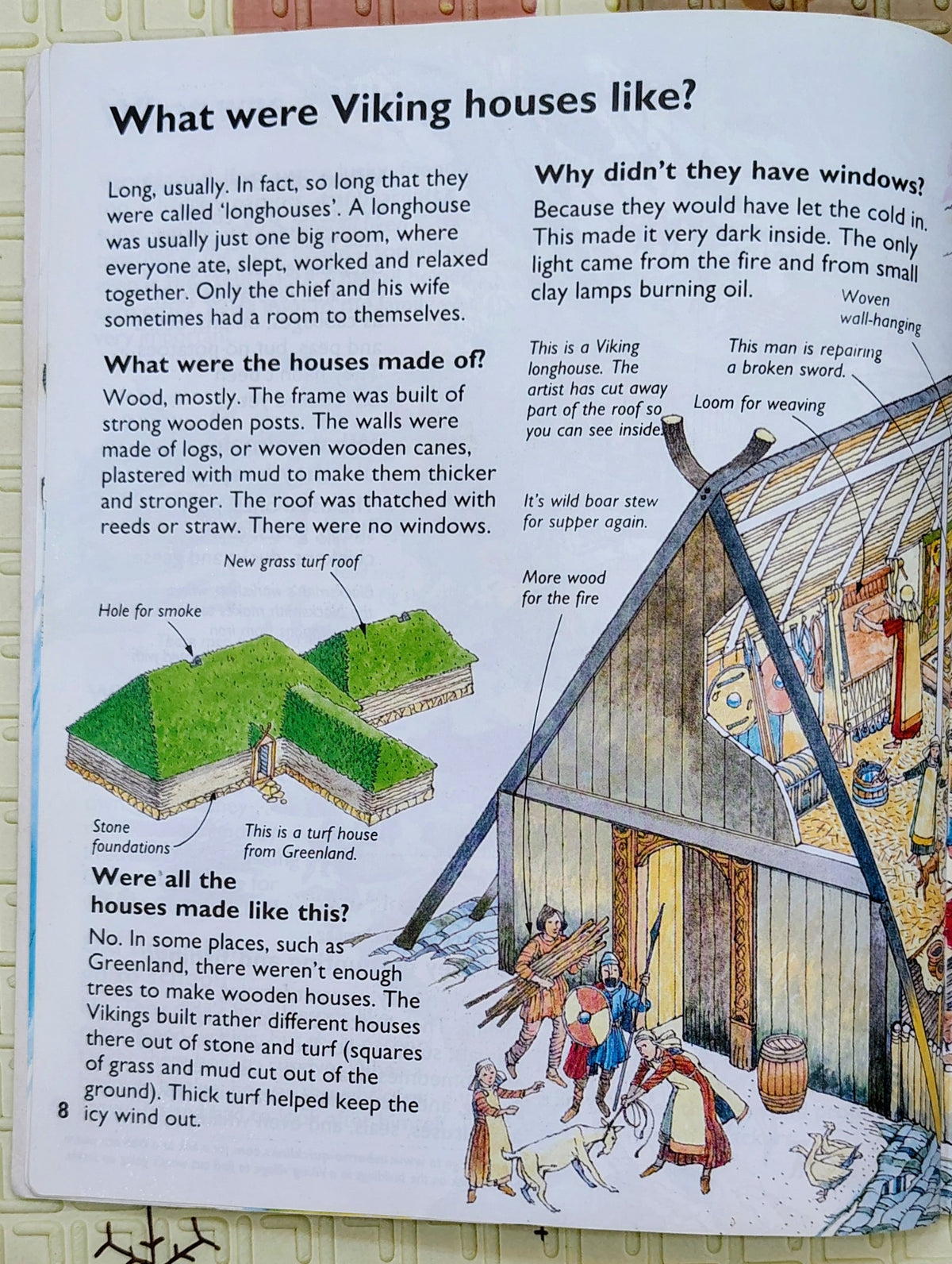 Who Were the Vikings? by Usborne Starting Point History
