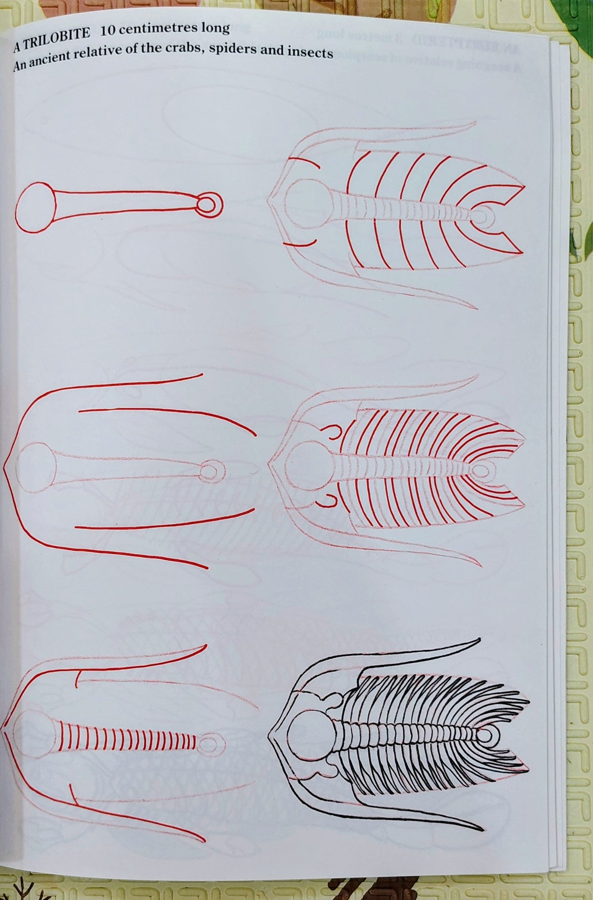 Draw 50 Dinosaurs and Other Prehistoric Animals by Lee J. Ames | Kingfisher