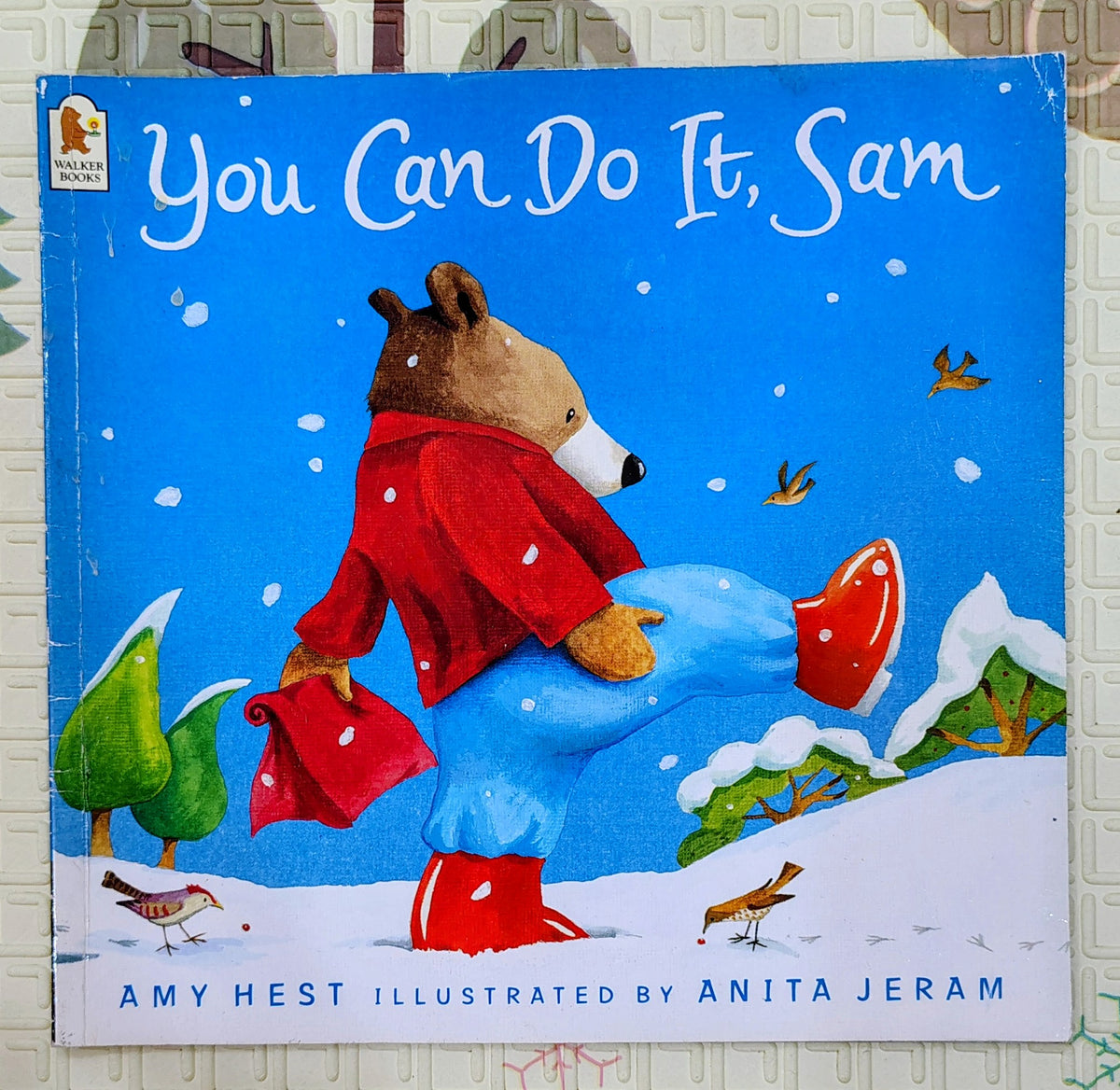 You Can Do It, Sam by Amy Hest | Walker Books