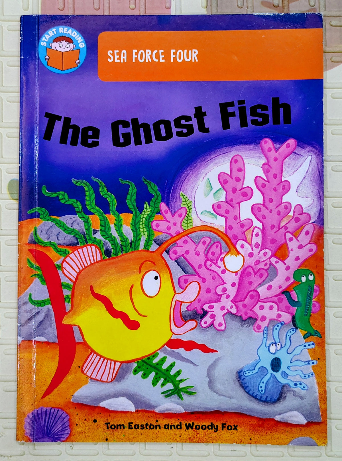 The Ghost Fish by Tom Easton and Woody Fox | Start Reading Orange Band 6