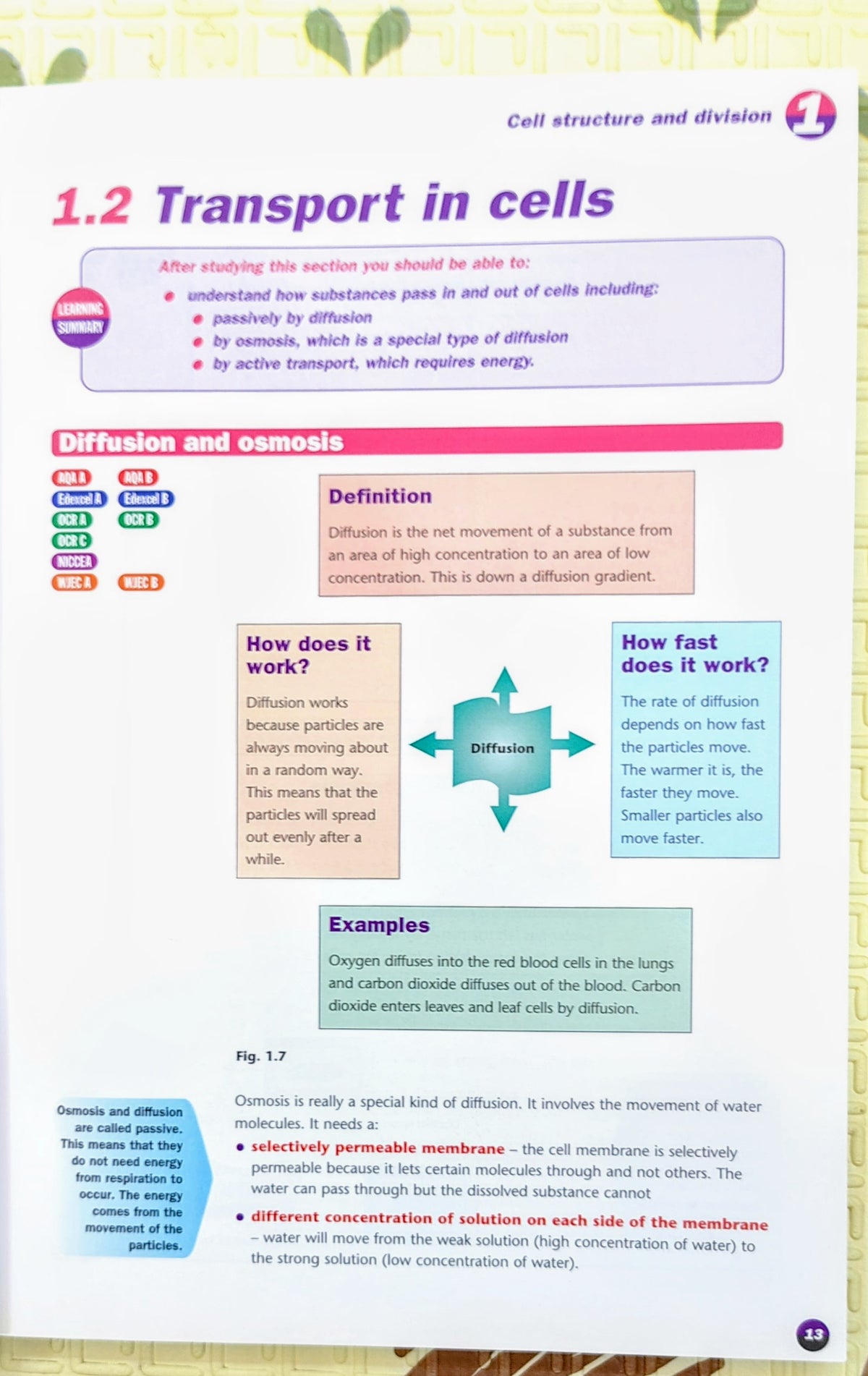 Revise GCSE Science by GCSE Examiners | Letts
