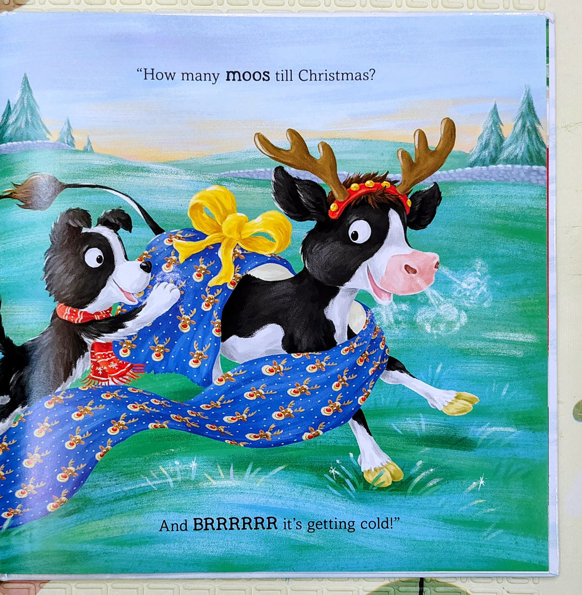 How Many Quacks till Christmas? by Mark Sperring | Bloomsbury