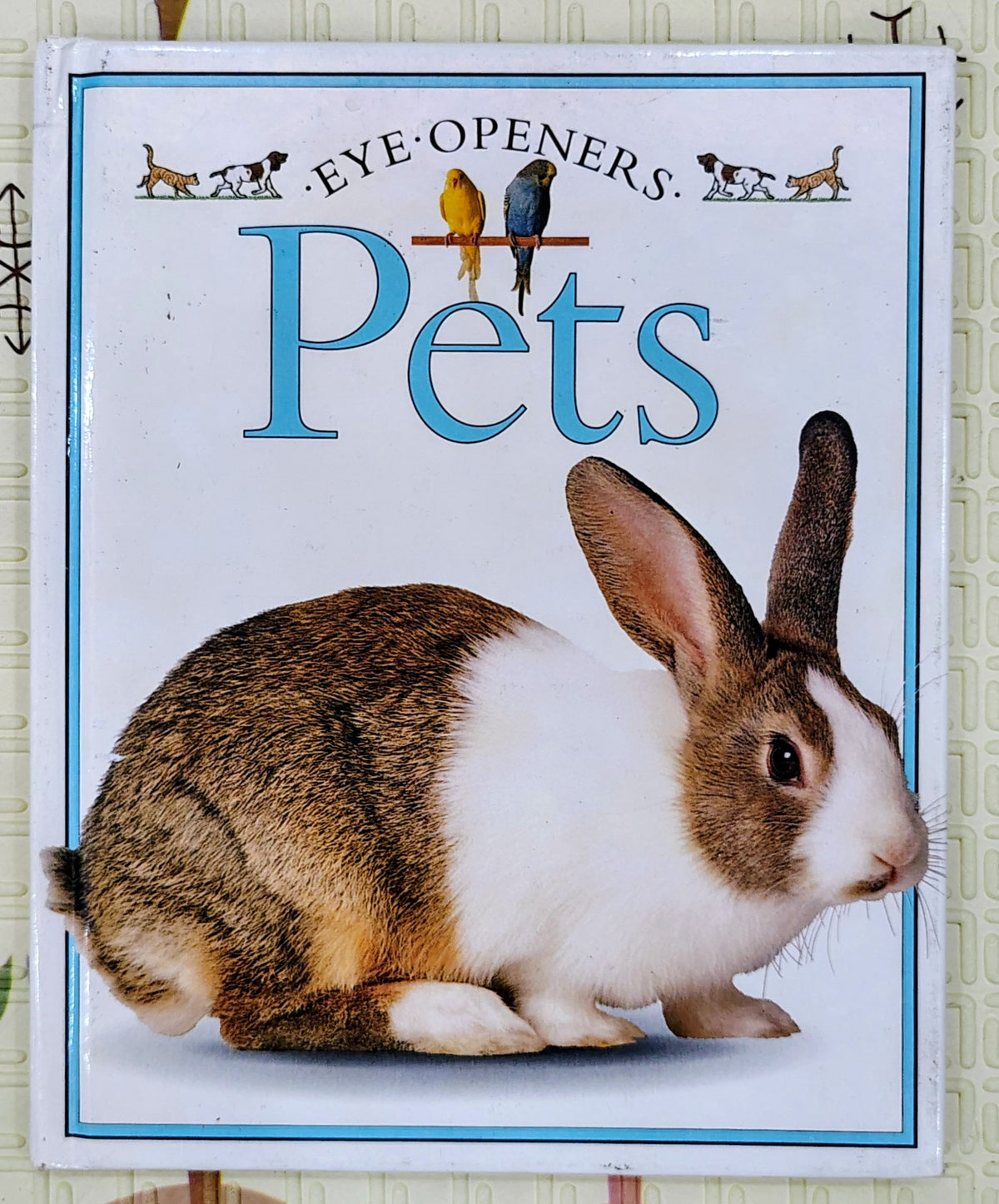 Pets by DK Eye openers