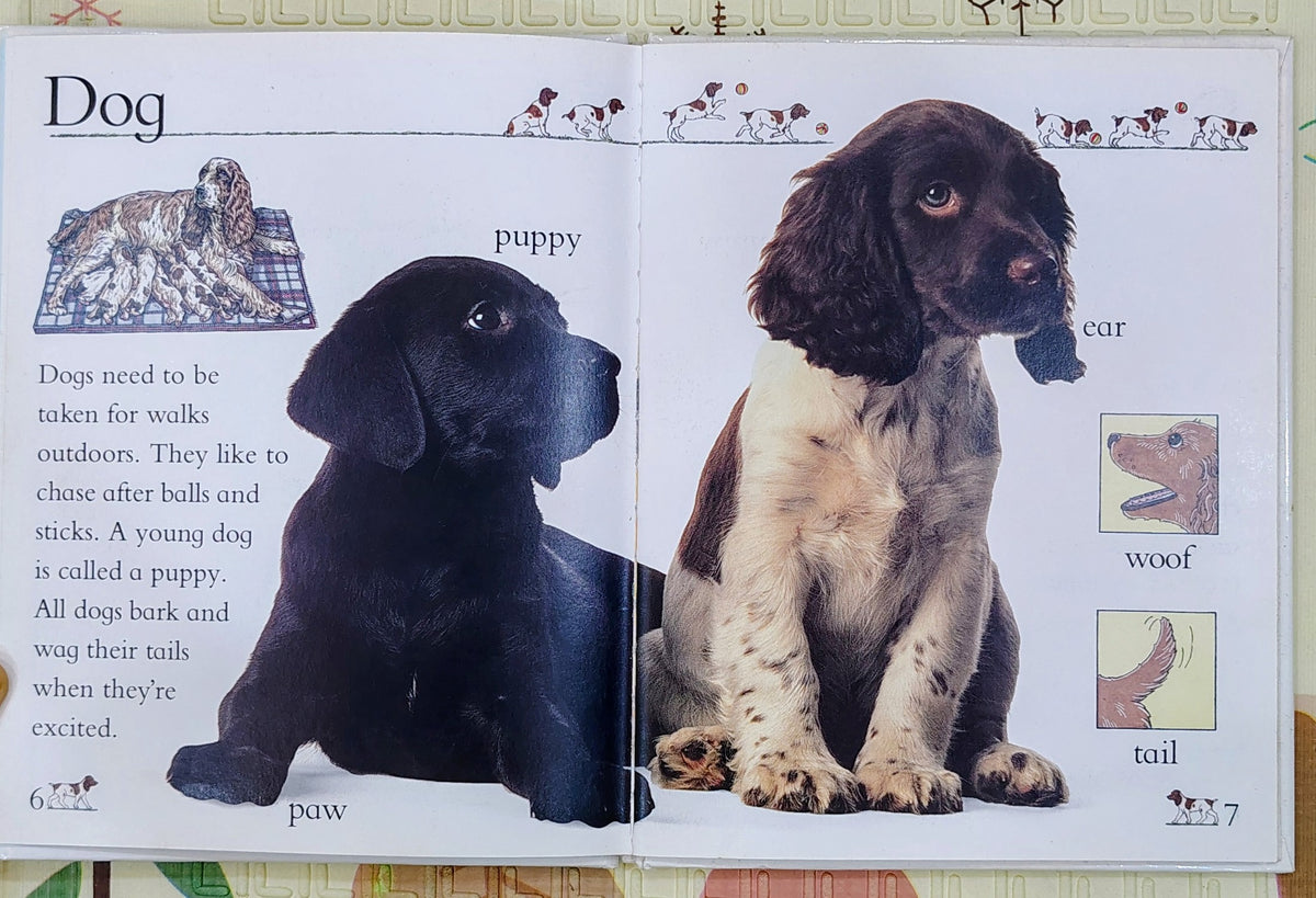 Pets by DK Eye openers