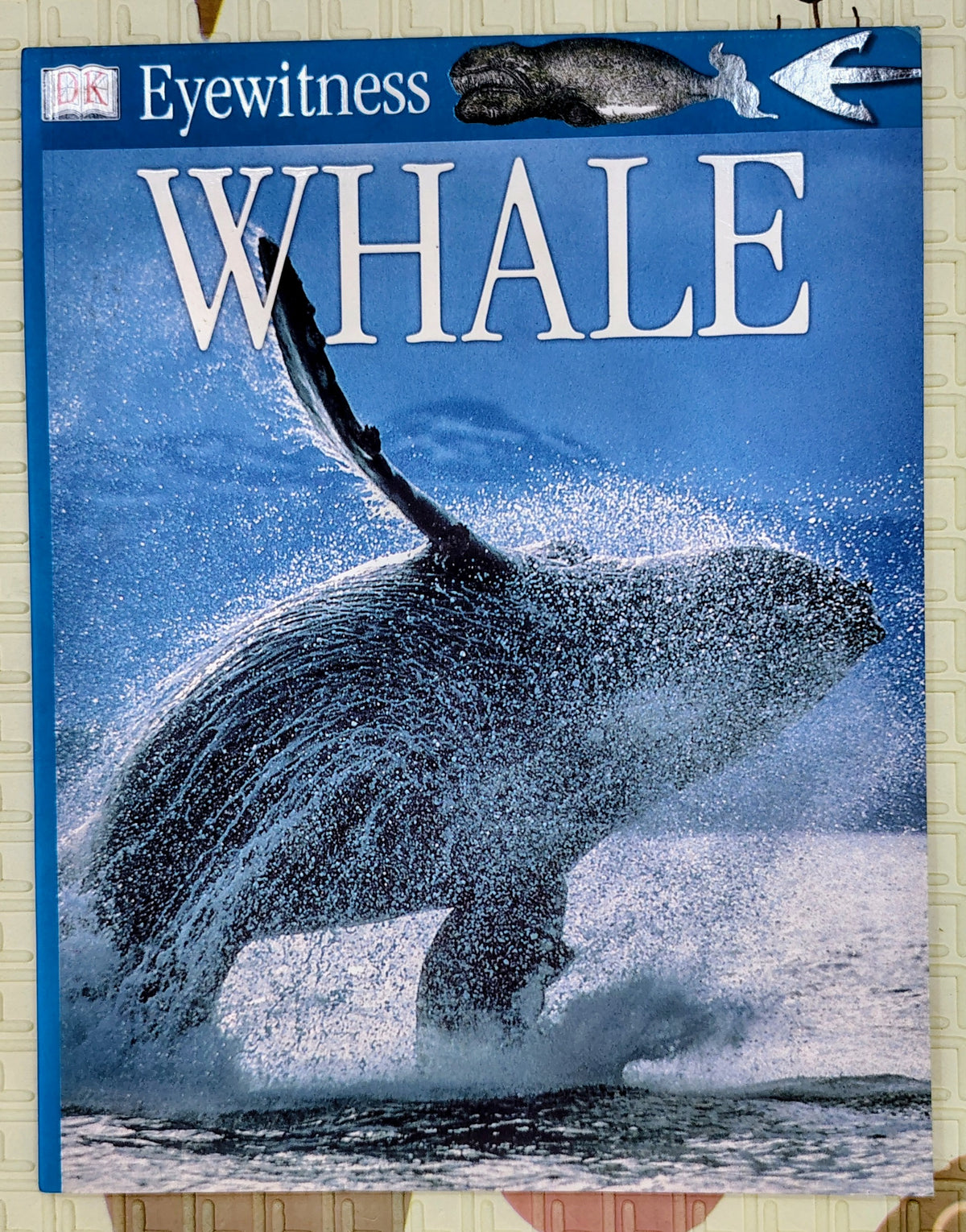 Eyewitness Whale by DK | See and Discover | Non-Fiction