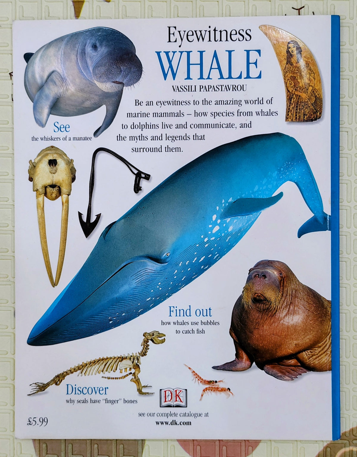 Eyewitness Whale by DK | See and Discover | Non-Fiction
