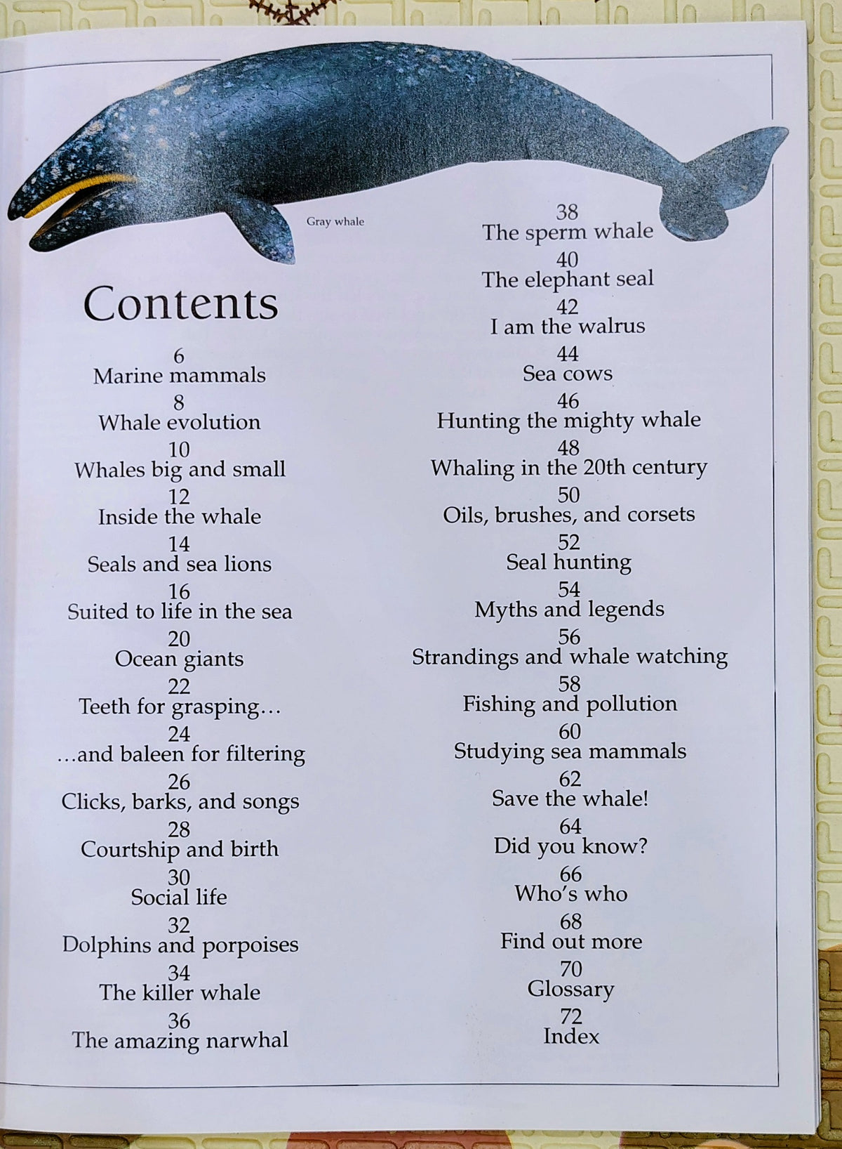 Eyewitness Whale by DK | See and Discover | Non-Fiction