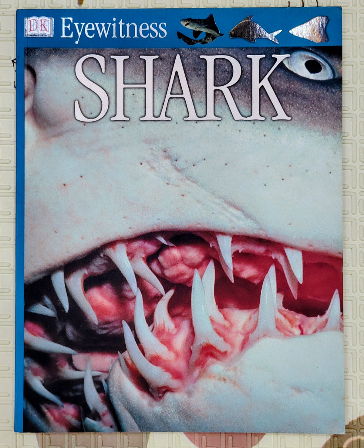 Eyewitness Shark by DK | See and Discover | Non-Fiction