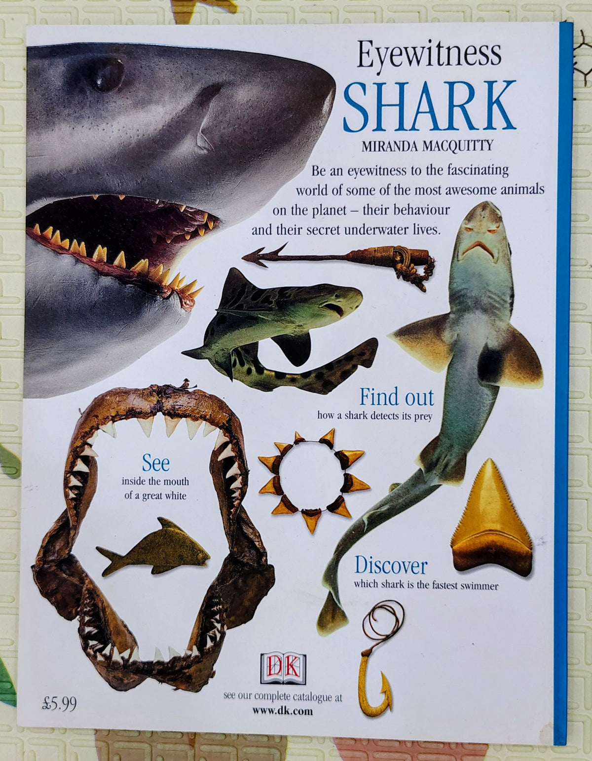 Eyewitness Shark by DK | See and Discover | Non-Fiction