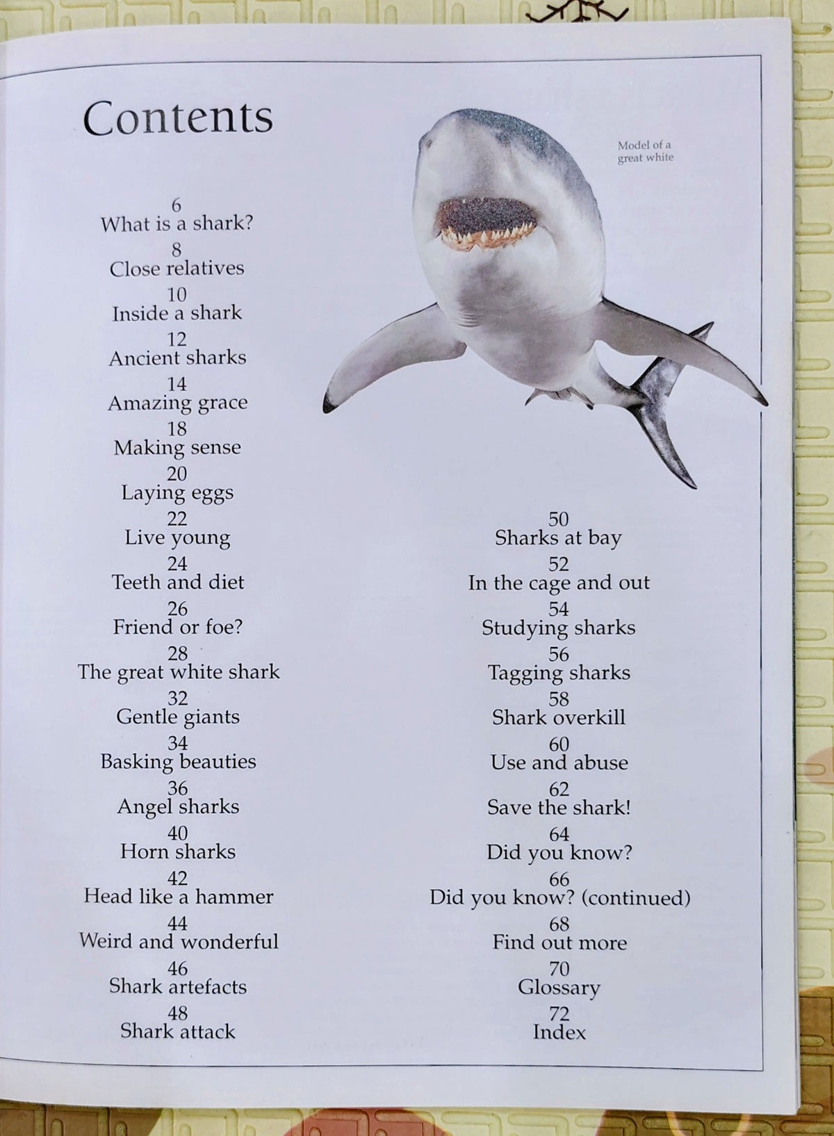 Eyewitness Shark by DK | See and Discover | Non-Fiction