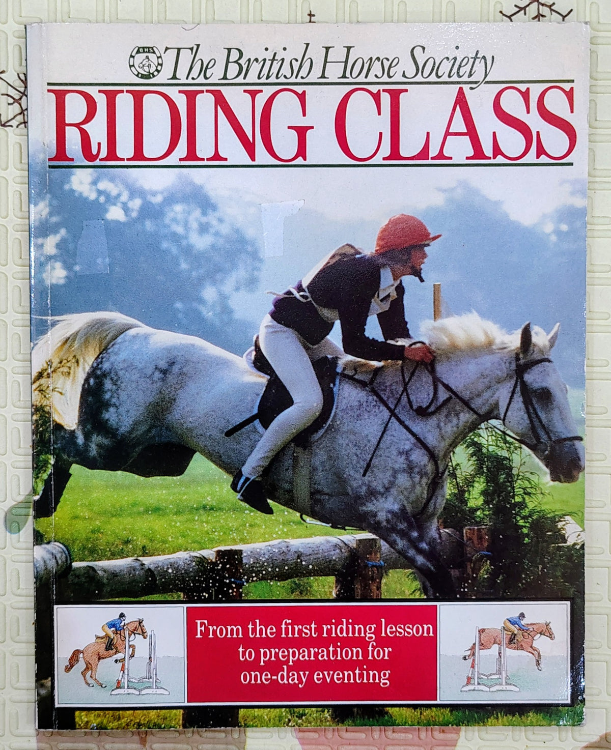Riding Class by The British Horse Society | Sports
