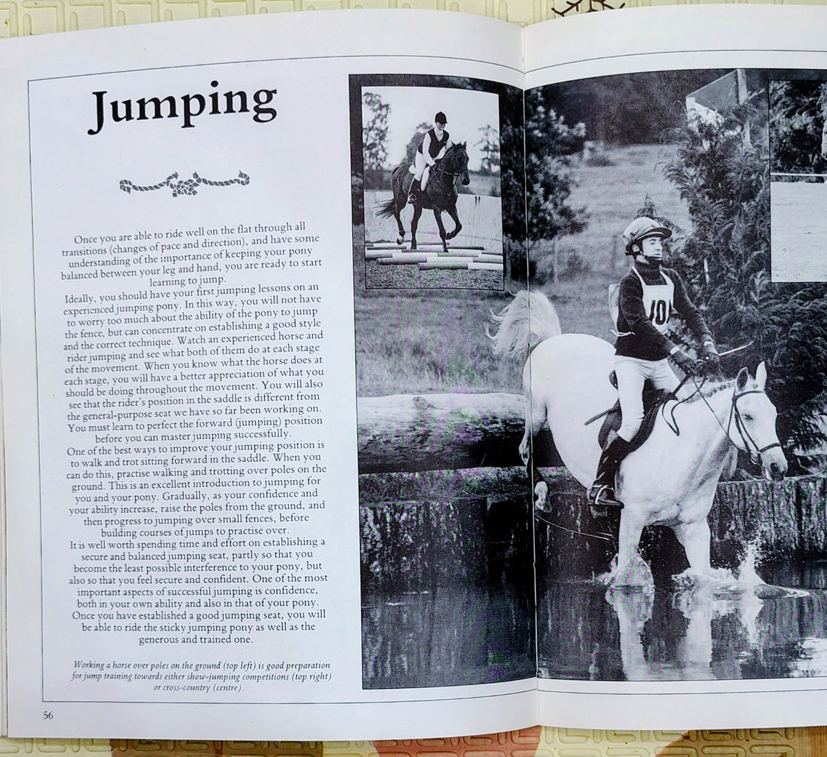 Riding Class by The British Horse Society | Sports