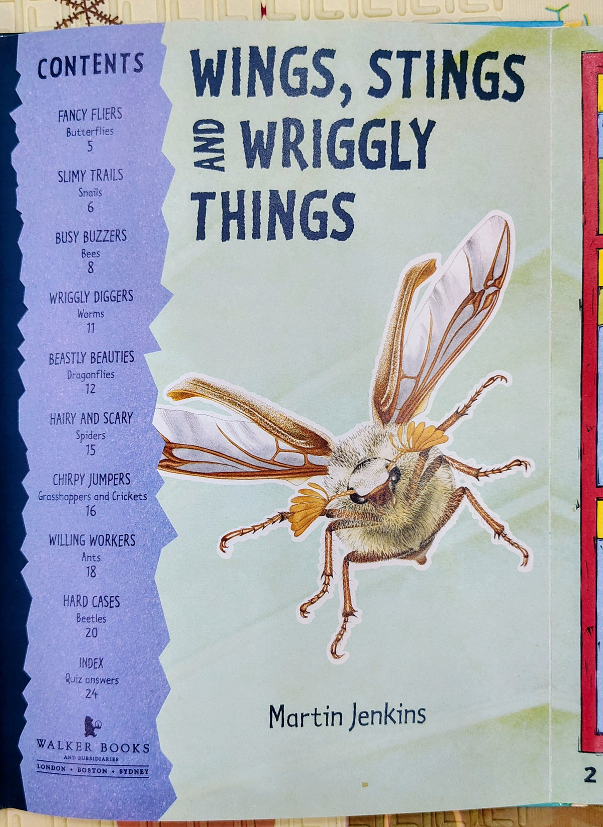Wings, Stings and Wriggly Things by Martin Jenkins | Bright Sparks