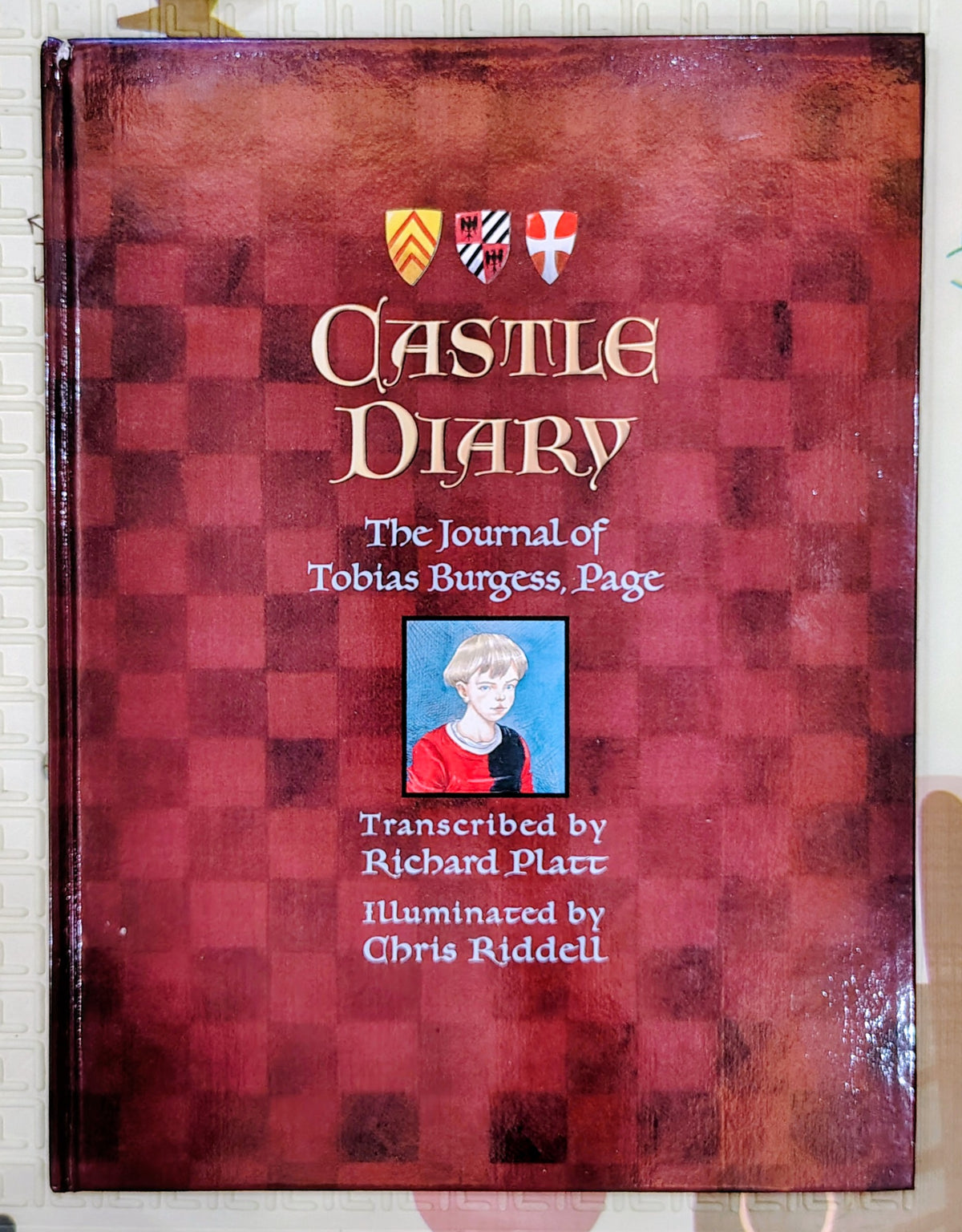 Castle Diary: The Journal of Tobias Burgess, Page by Richard Platt