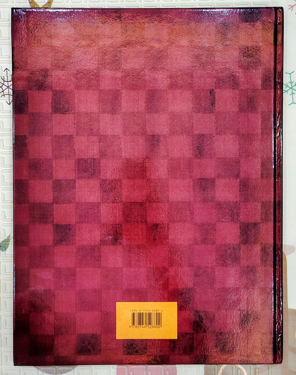 Castle Diary: The Journal of Tobias Burgess, Page by Richard Platt