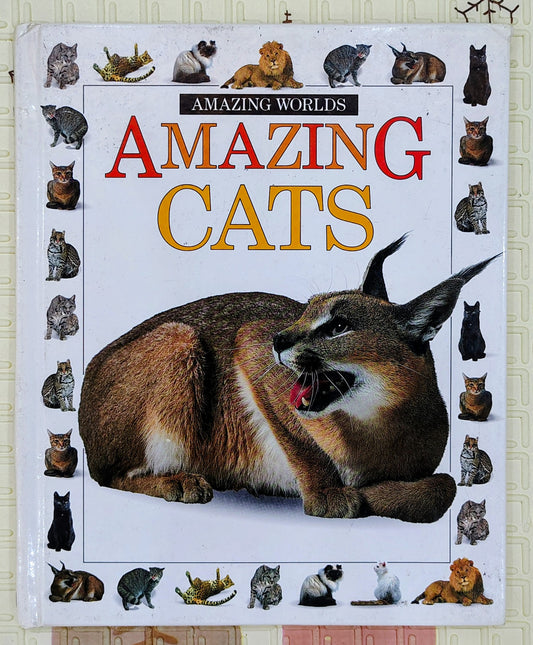 Amazing Worlds: Amazing Cats by DK | Non fiction