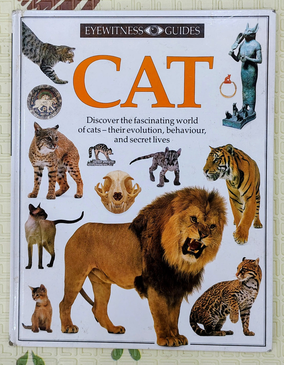 Cat by Eyewitness Guides | Dorling Kindersley | Non-Fiction