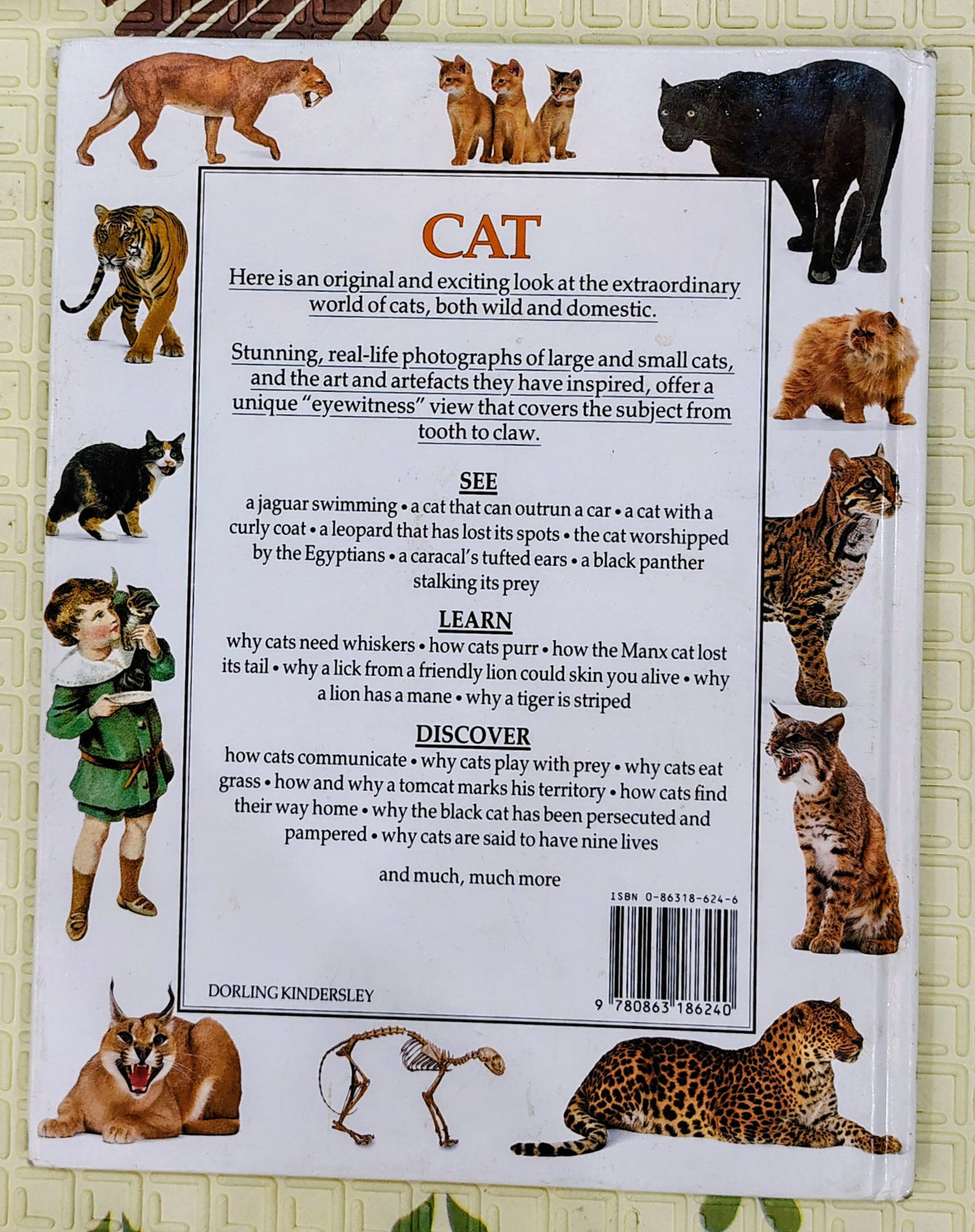 Cat by Eyewitness Guides | Dorling Kindersley | Non-Fiction