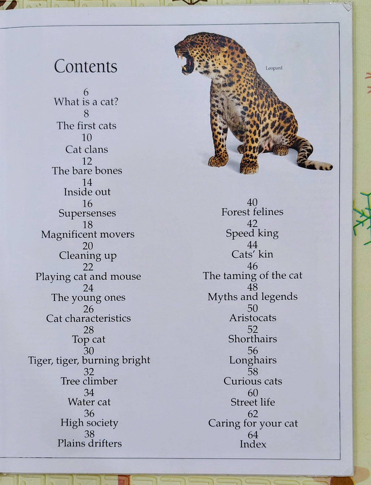Cat by Eyewitness Guides | Dorling Kindersley | Non-Fiction