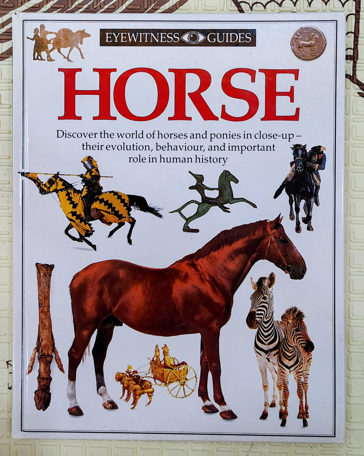 Horse by Eyewitness Guides | DK | See and Discover
