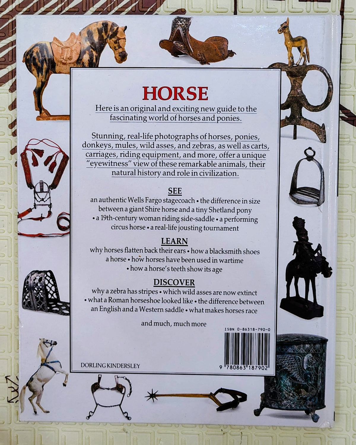 Horse by Eyewitness Guides | DK | See and Discover