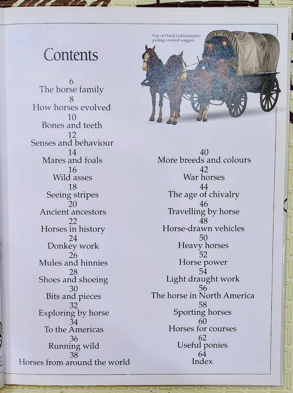 Horse by Eyewitness Guides | DK | See and Discover