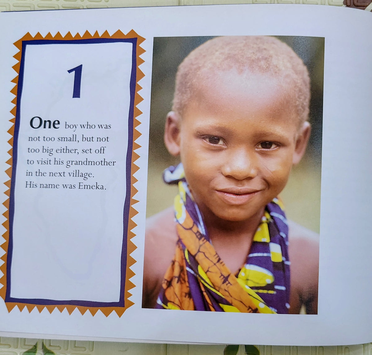Emeka's Gift by Ifeoma Onyefulu | African Counting Book