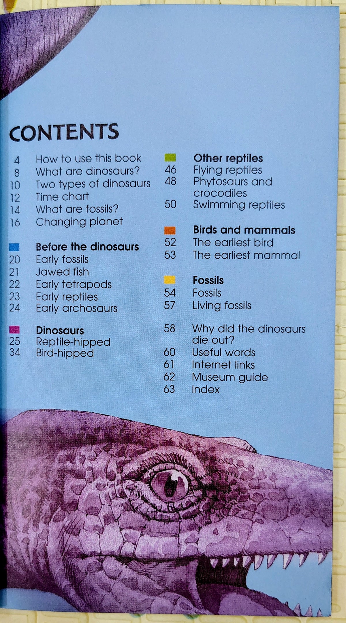 Usborne Spotter's Guide: Dinosaurs