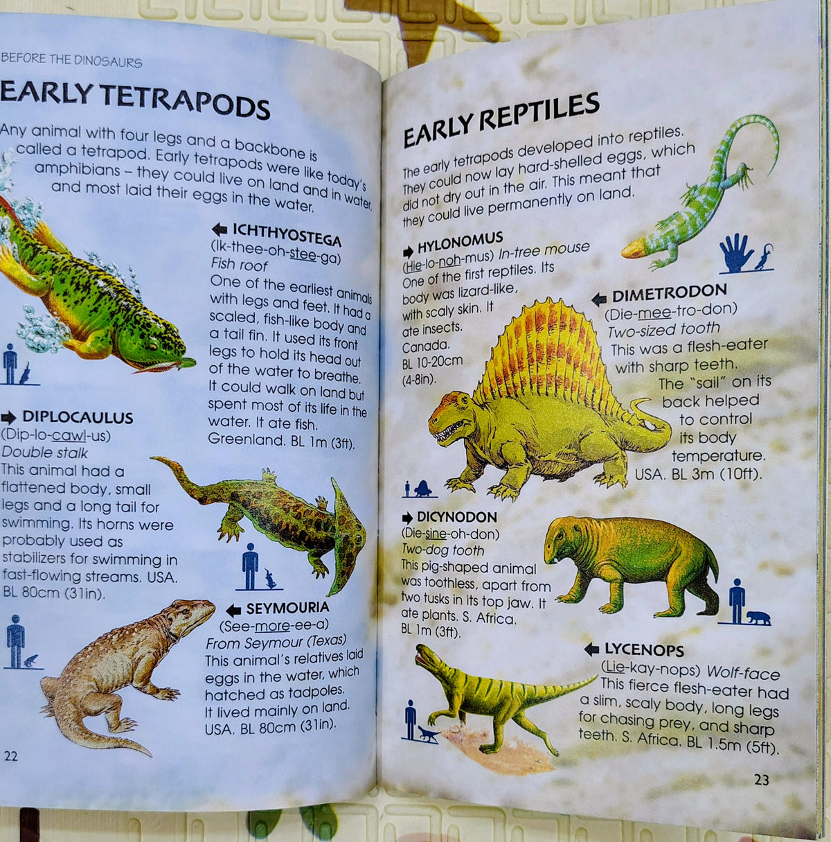 Usborne Spotter's Guide: Dinosaurs