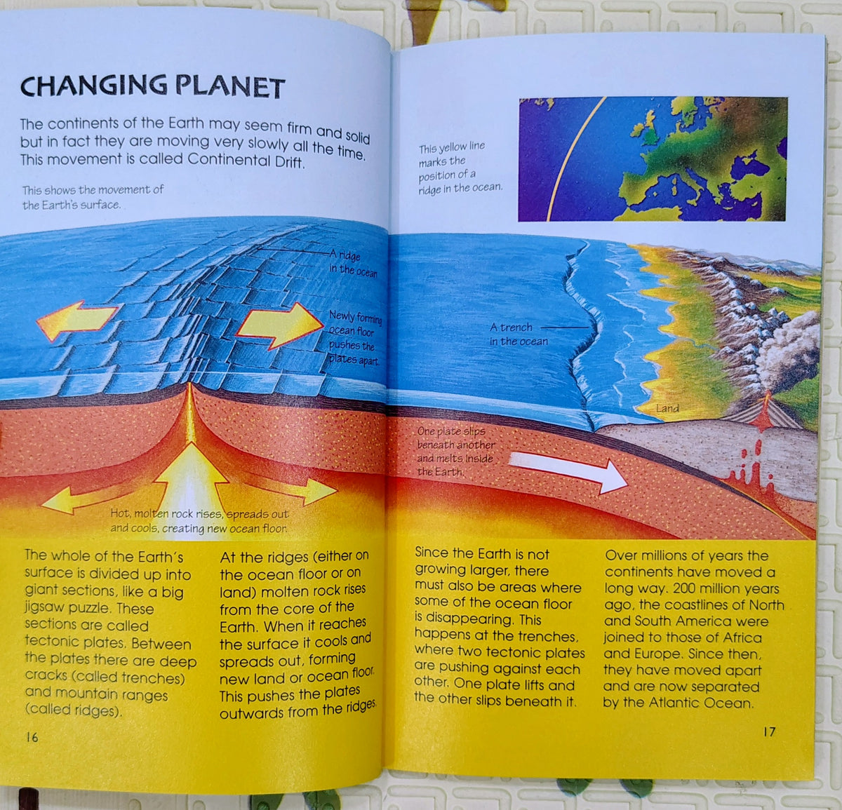 Usborne Spotter's Guide: Dinosaurs