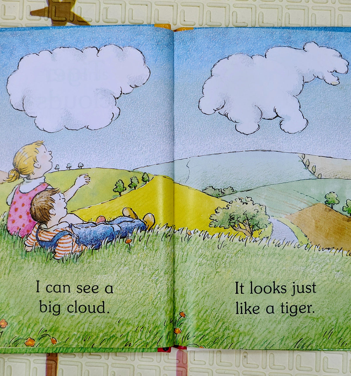 Tiger Clouds by Catriona Macgregor | Read with Ladybird Level 1