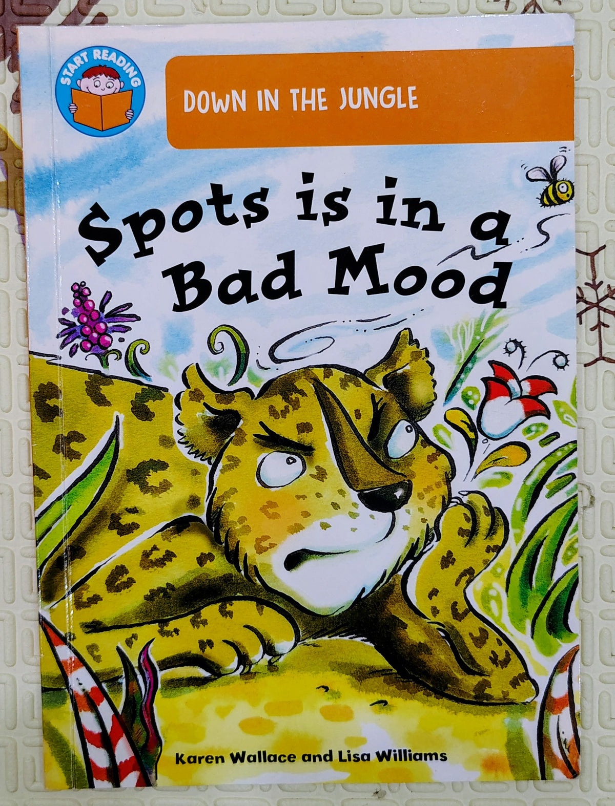 Spots is in a Bad Mood by Karen Wallace and Lisa Williams | Start Reading Band 6
