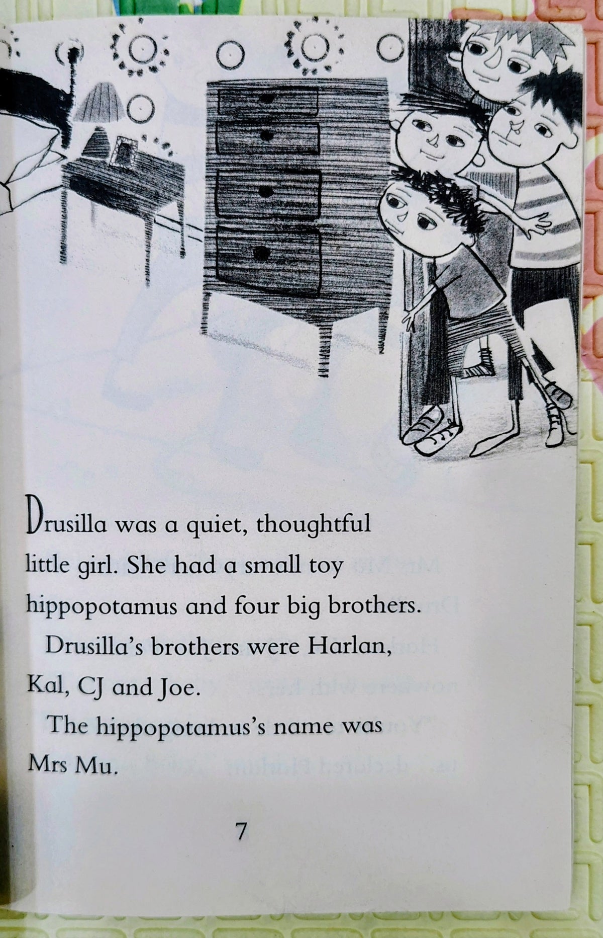 Drusilla and Her Brothers by Dyan Sheldon | Walker Chapter Books
