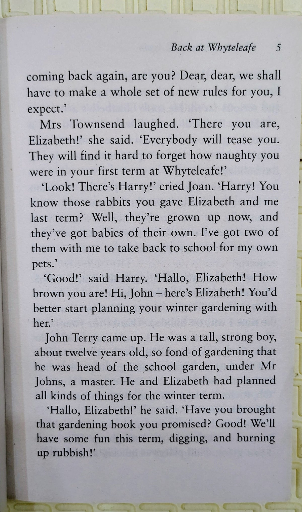 The Naughtiest Girl Again by Enid Blyton | Hodder Children's Books