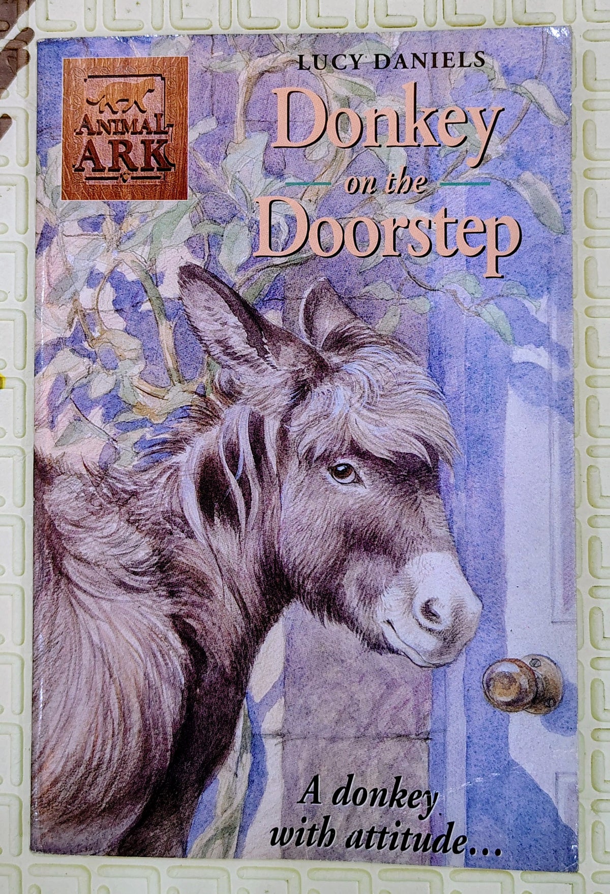 Donkey on the Doorstep by Lucy Daniels | Hodder Children's Books