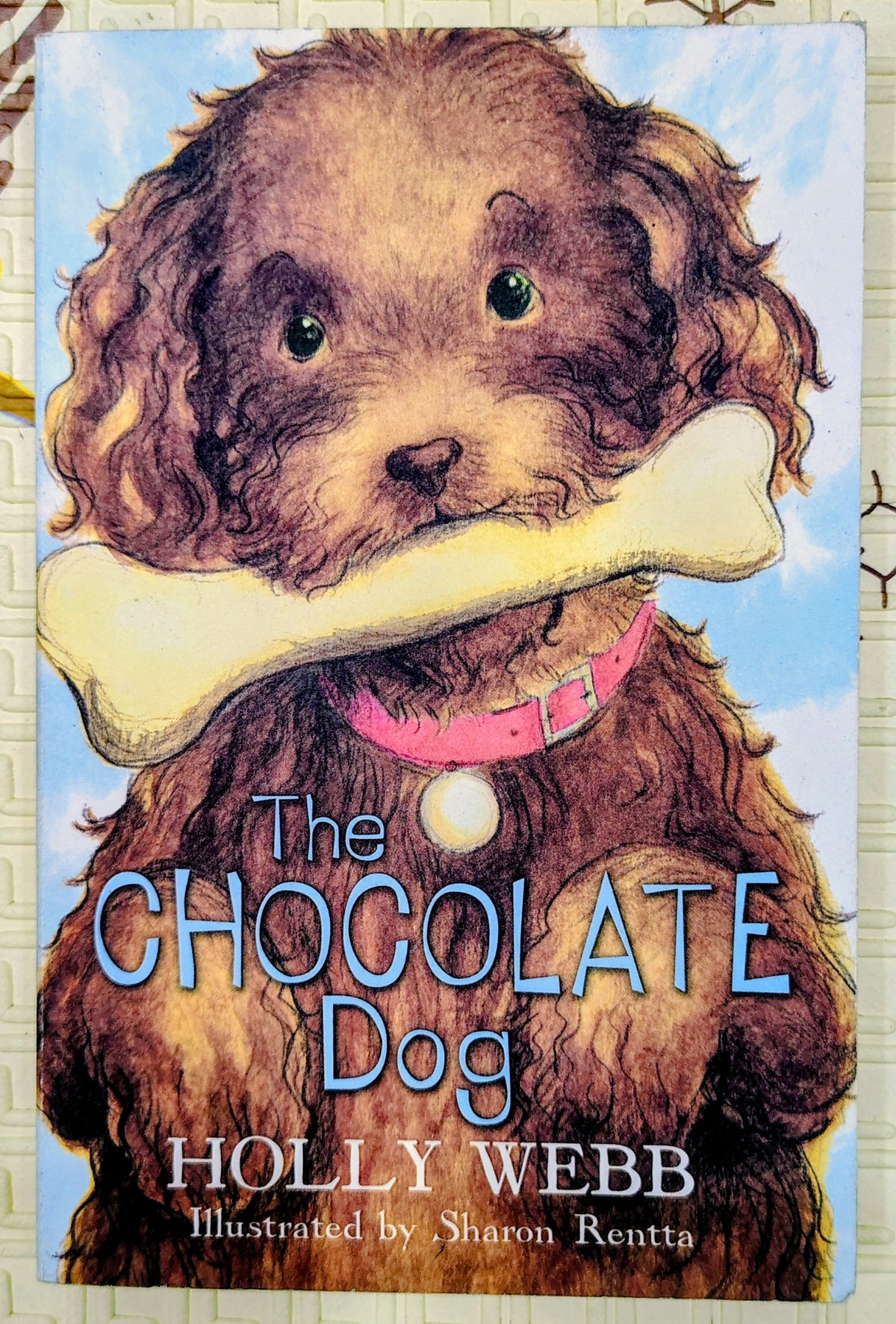 The Chocolate Dog by Holly Webb | Scholastic