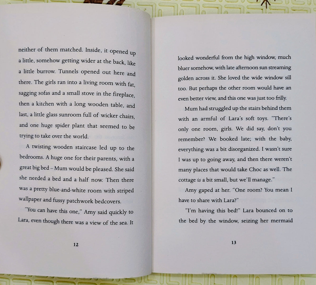 The Chocolate Dog by Holly Webb | Scholastic