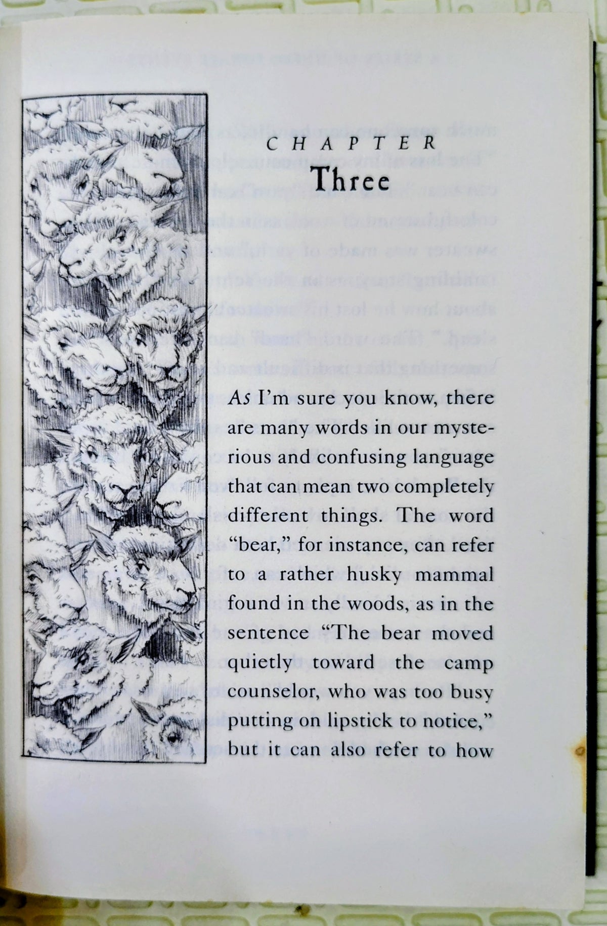 The End (A Series of Unfortunate Events, Book 13) by Lemony Snicket