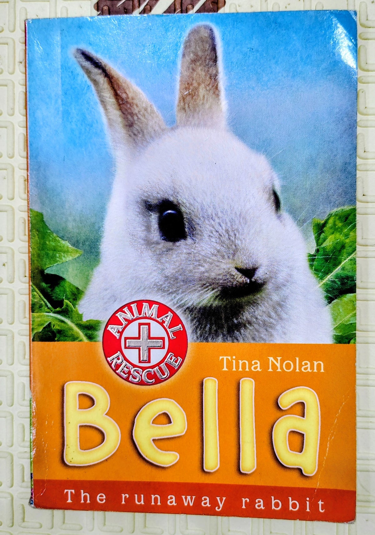 Bella: The Runaway Rabbit by Tina Nolan | Animal Rescue