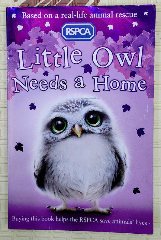 Little Owl Needs a Home | RSPCA