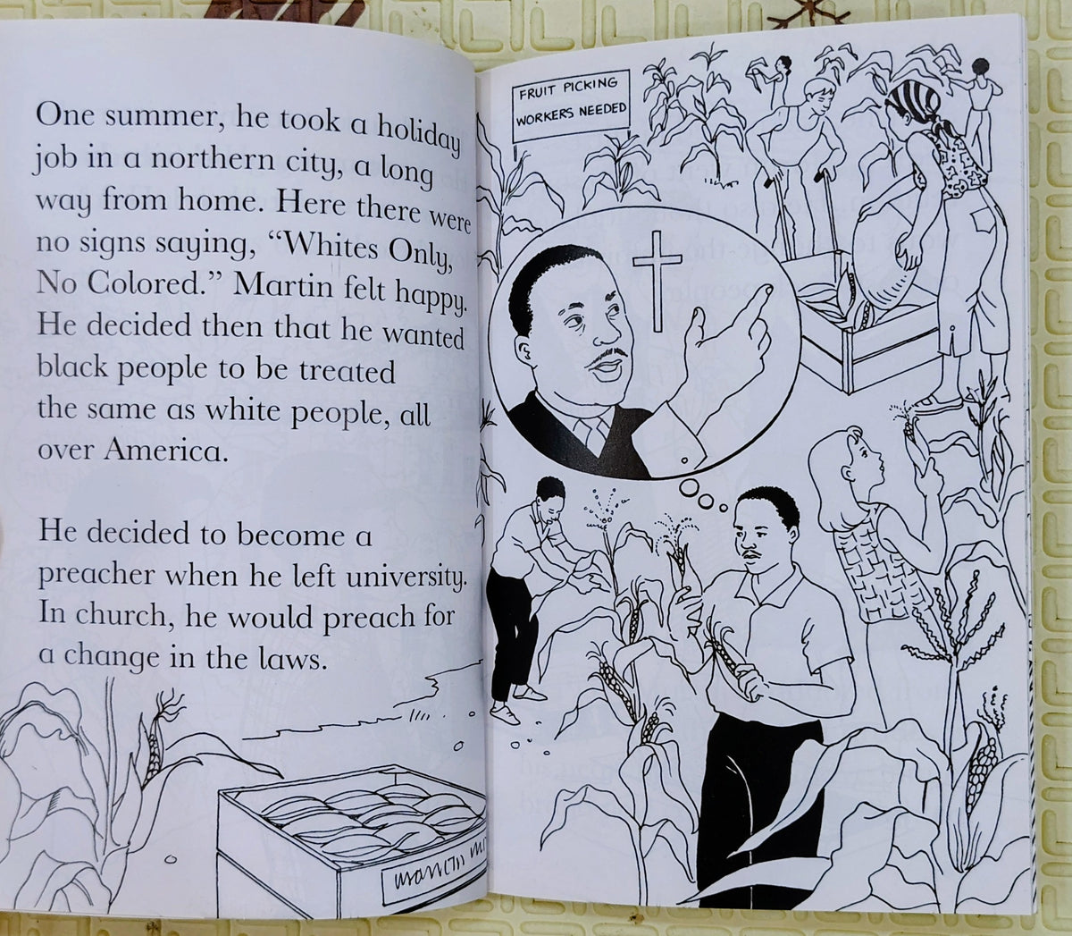 Martin Luther King (Famous Lives) | Franklin Watts| Biography