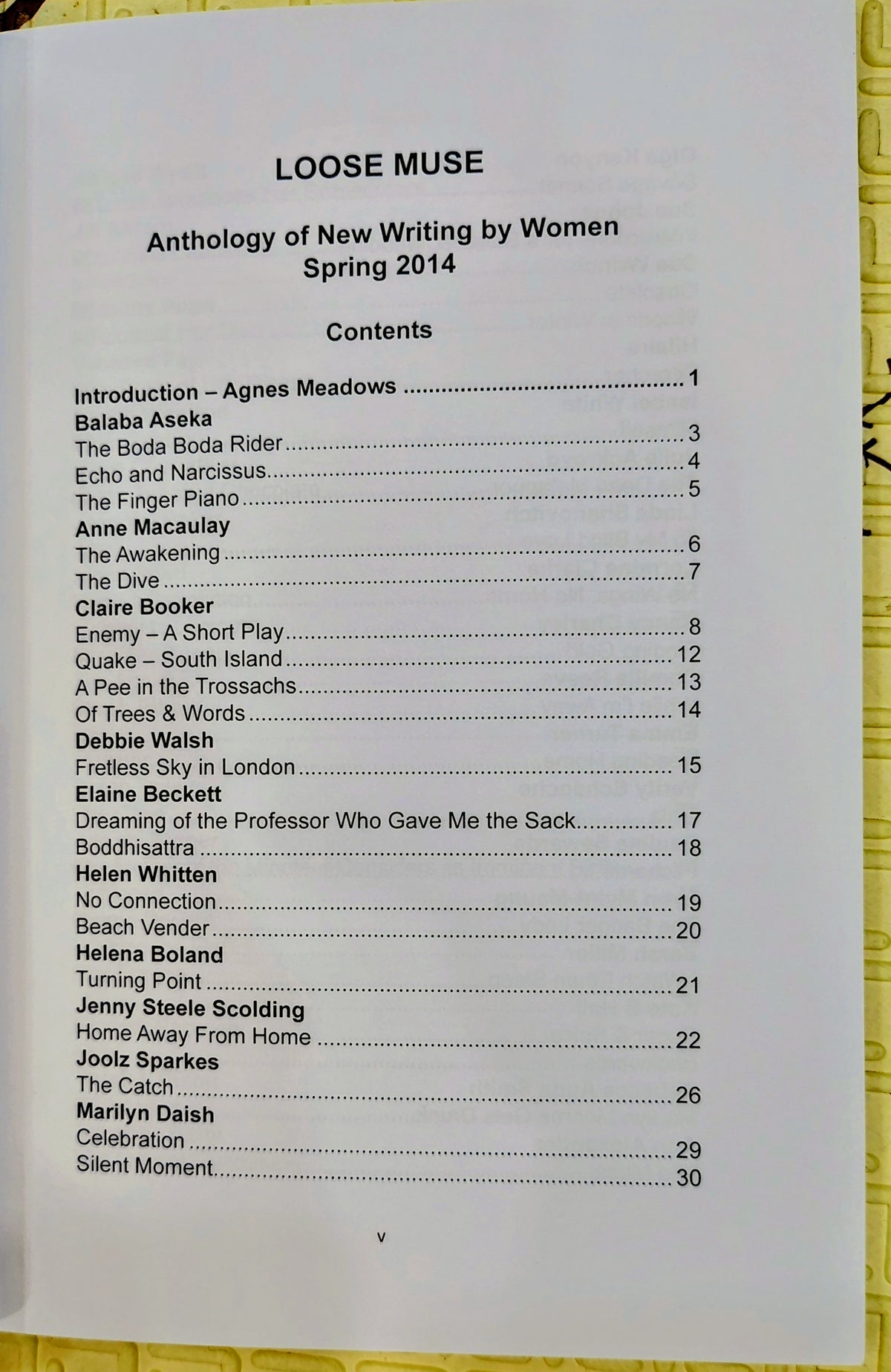 Loose Muse: An Anthology of New Writing by Women
