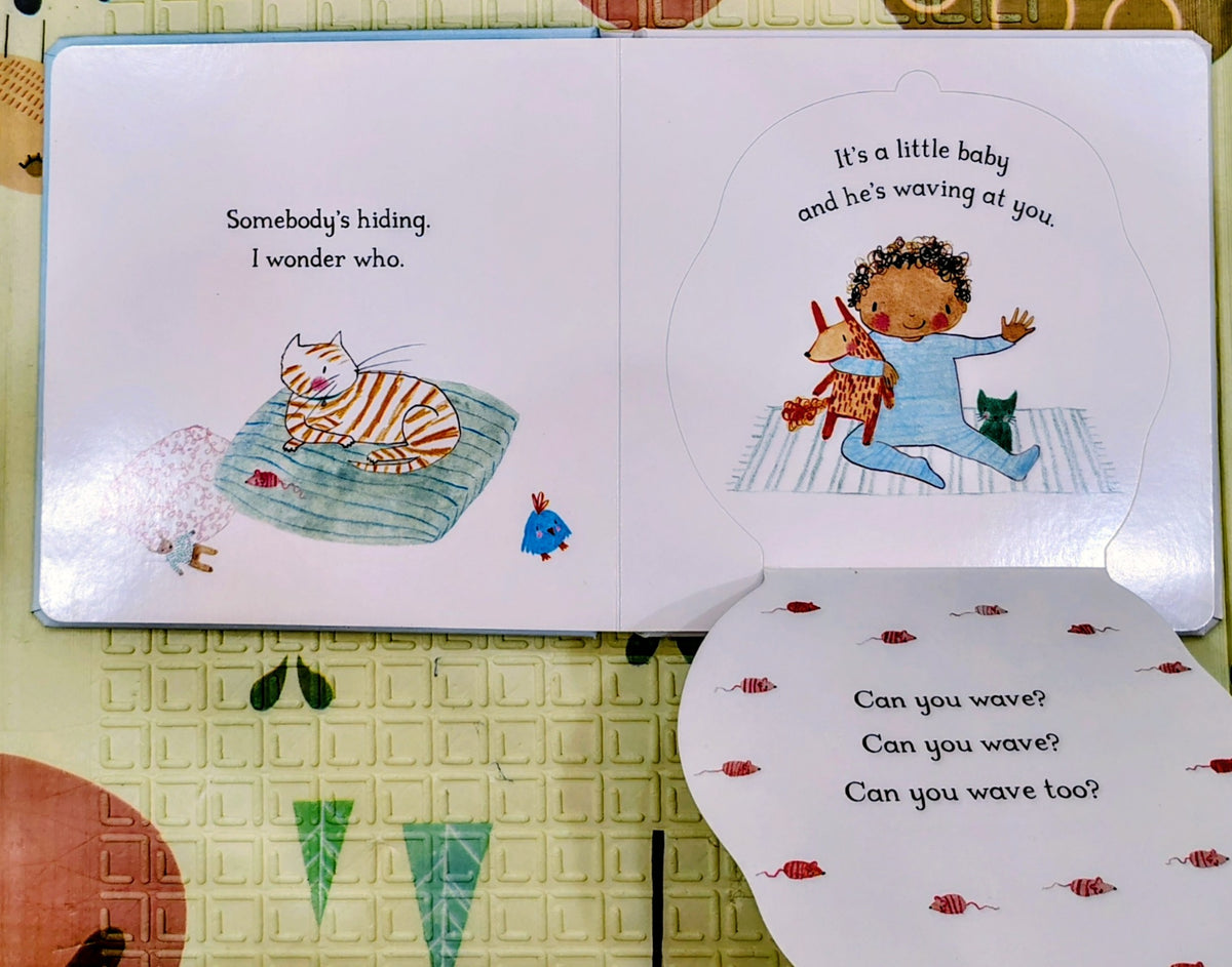 It's a Little Baby by Julia Donaldson | Lift the Flap | Macmillan