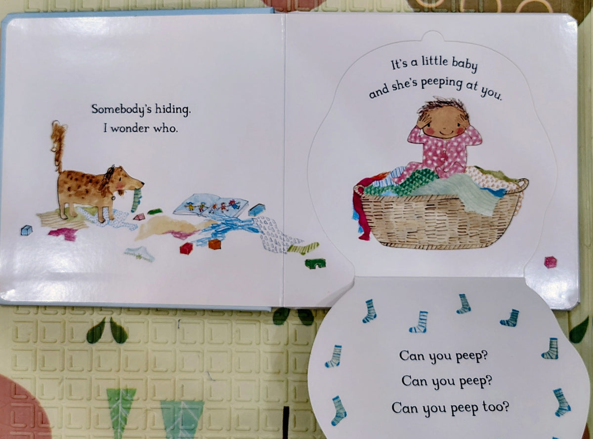 It's a Little Baby by Julia Donaldson | Lift the Flap | Macmillan